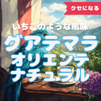 グアテマラオリエンテナチュラル