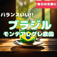ブラジルモンテアレグレ農園