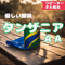 タンザニアAA