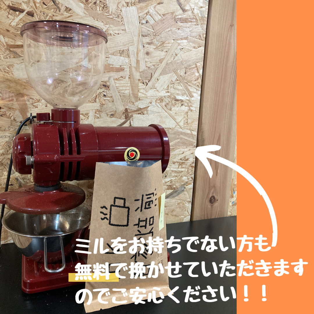 運試し)コーヒーガチャ | mk自家焙煎