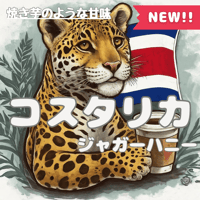 コスタリカジャガーハニー
