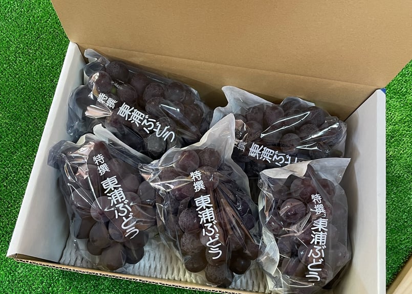 ぶどう屋かとう