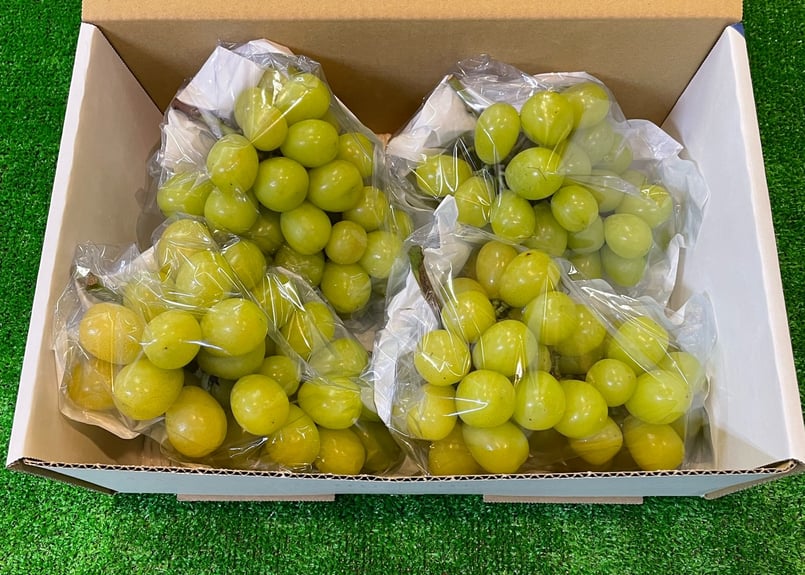 葡萄の壺 葡萄の壺 Yahoo!オークション -「ぶどう」(花器) (銅製)の落札