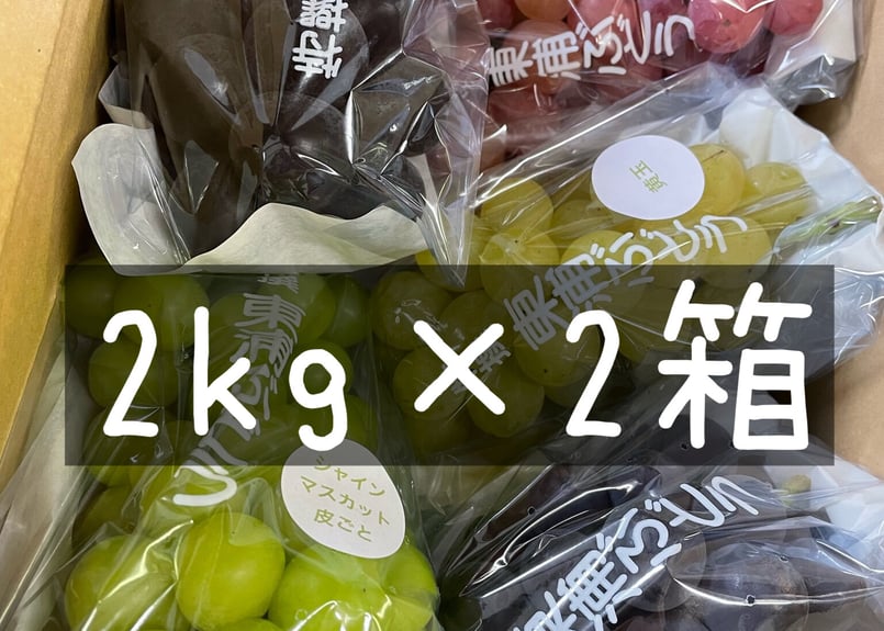 葡萄の壺 葡萄の壺 葡萄の壺 商品 | 秀果園オンラインショップ