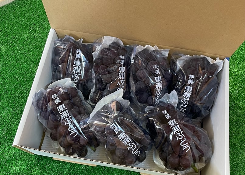 ぶどう屋かとう