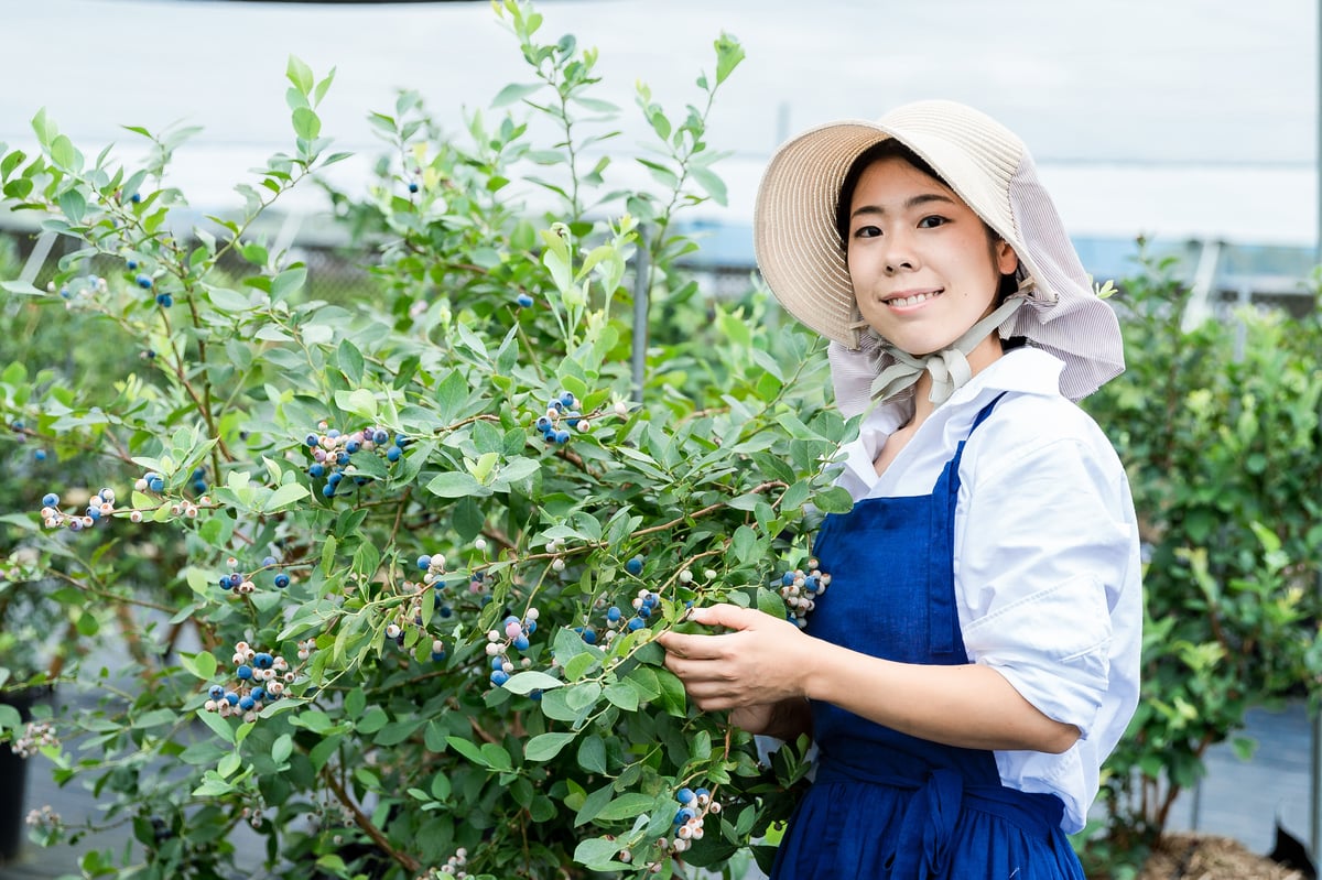 ブルーベリー定期便【年4回】 レギュラーコース | BERRY'S PARK KORIYAMA