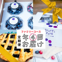 ブルーベリー定期便【年4回】　ファミリーコース