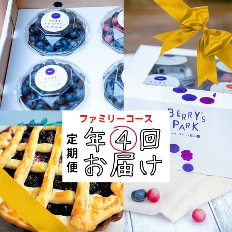 ブルーベリー定期便【年4回】　ファミリーコース
