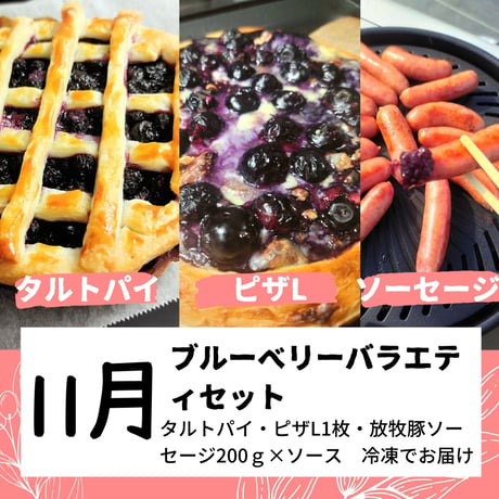 ブルーベリー定期便【年4回】　ファミリーコース