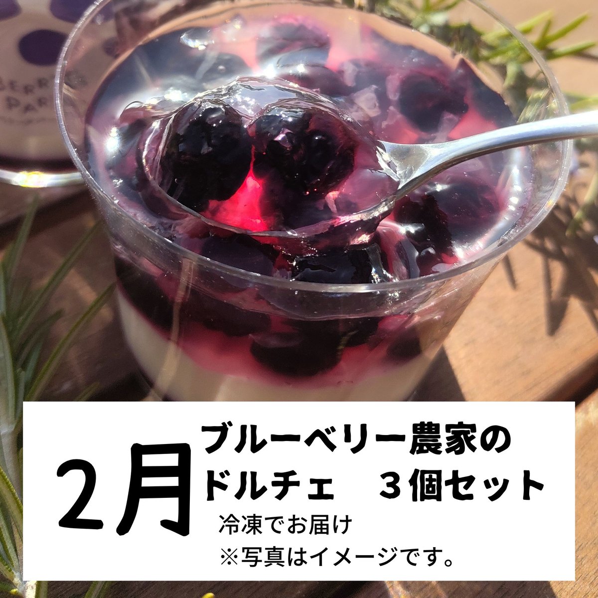 ブルーベリー定期便【年4回】 レギュラーコース | BERRY