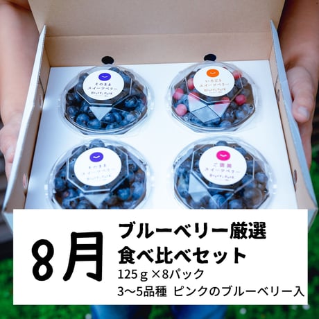 ブルーベリー定期便【年4回】　ファミリーコース