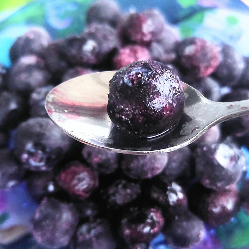 ブルーベリー 楽天市場】【ふるさと納税】【2026年6月中旬より順次発送】【栽培期間