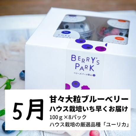 ブルーベリー定期便【年4回】　ファミリーコース