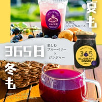 ブルーベリージンジャークラフト