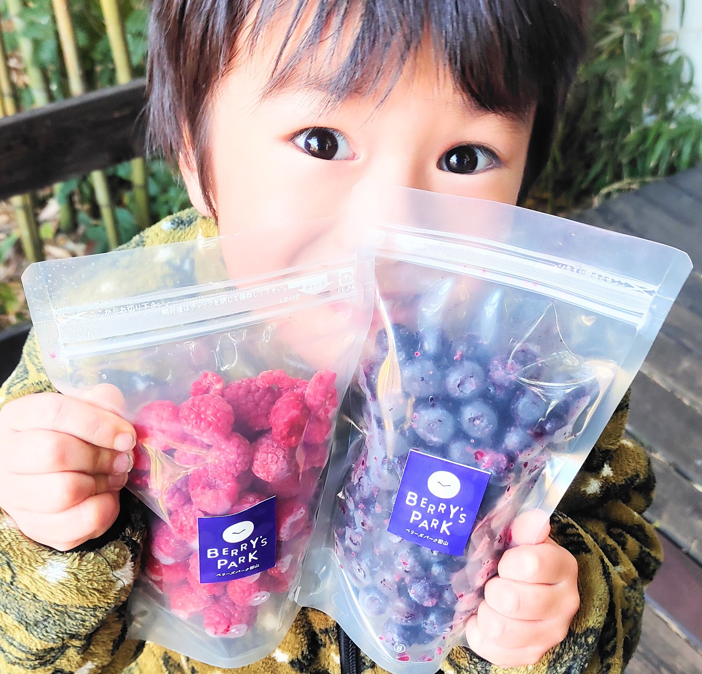 冷凍ラズベリー170g×3 | BERRY'S PARK KORIYAMA