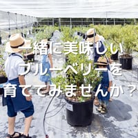育てようプロジェクト　スタートキット(食べ比べ2回・カウンセリング・苗等初期費用込み)