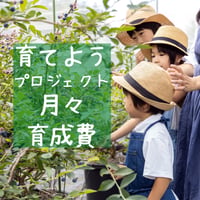 育てようプロジェクト　月々育成費（水分・施肥・品質管理、防虫・防鳥、剪定など）