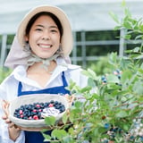 BERRY'S PARK  KORIYAMA
