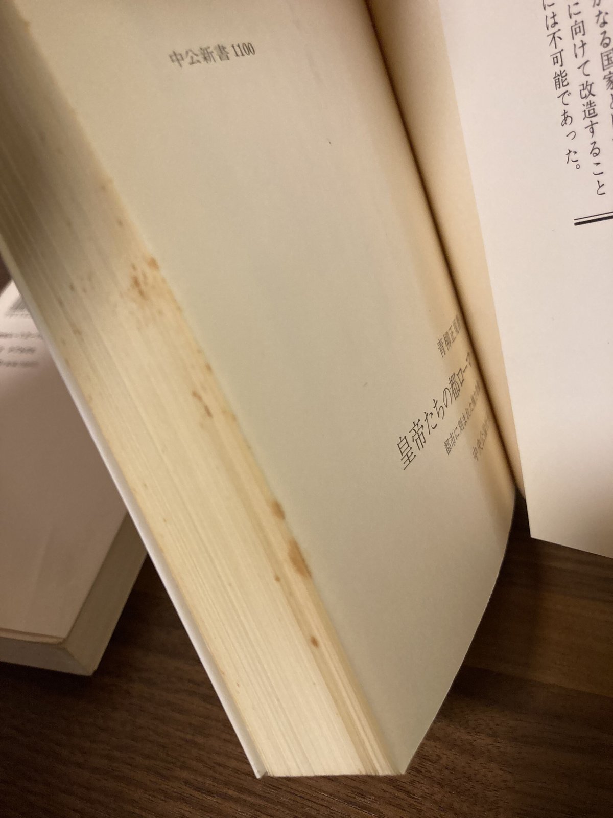 少しビターで香り高きヨーロピアンブレンド 中公新書4冊セット | 移動
