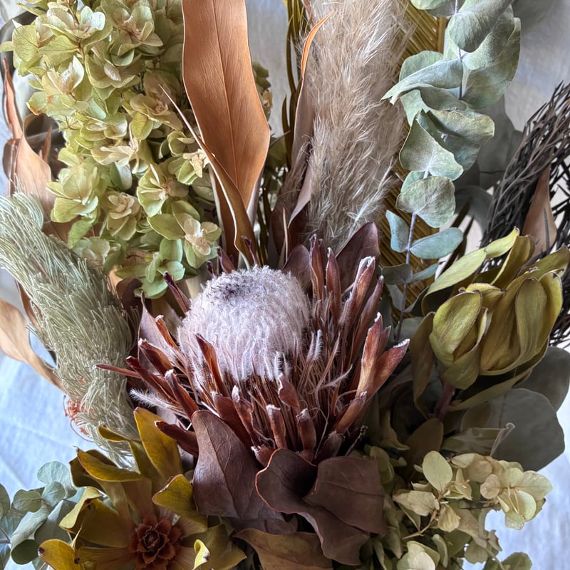 ドライフラワースワッグ ネイティブフラワー プロテア