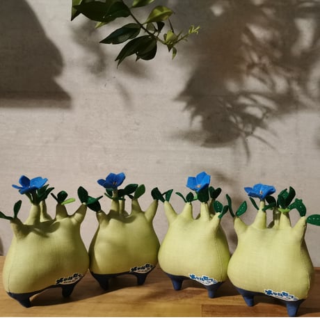 ●Zooo Plants 塊根まん3点セット Zooo Plants 塊根まん3点セット