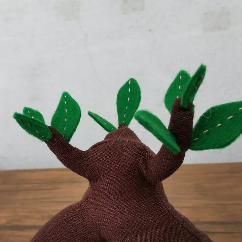 Zooo Plants 塊根まん3点セット 塊根まん・ガジュマル | Zooo plants/ズープランツ