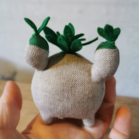 ●Zooo Plants 塊根まん3点セット Zooo Plants 塊根まん3点セット
