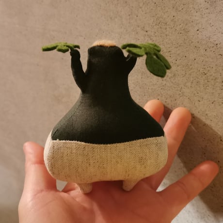 ●Zooo Plants 塊根まん3点セット 塊根まん | STORES