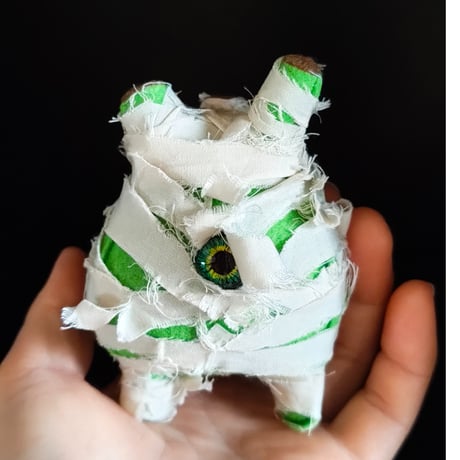 キフォステンマベティフォルメ キフォステンマ ベティフォルメ ナローリーフ ソマリア産 輸入株［No