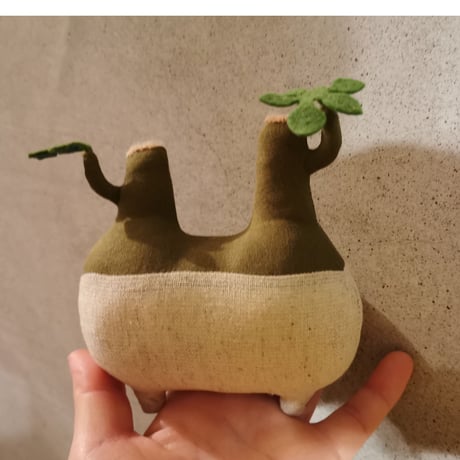 ●Zooo Plants 塊根まん3点セット Zooo Plants 塊根まん3点セット