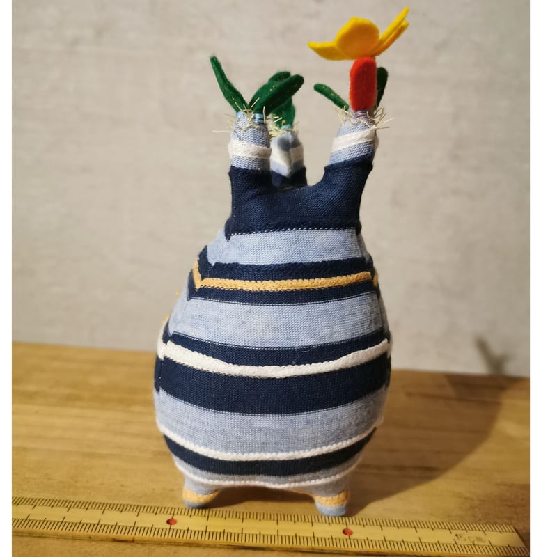 ●Zooo Plants 塊根まん3点セット △Zooo Plants 塊根まん3点セット - メルカリ