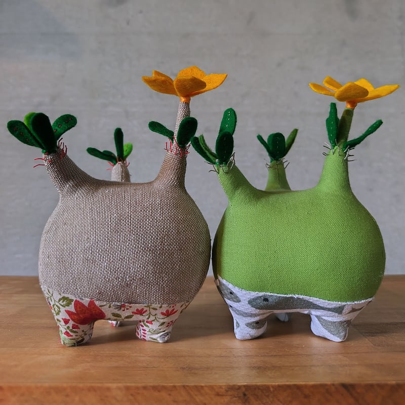 セクシィモモヒキ・グラキリス まん（お魚柄） | Zooo plants