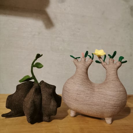 ●Zooo Plants 塊根まん3点セット Zooo Plants 塊根まん3点セット