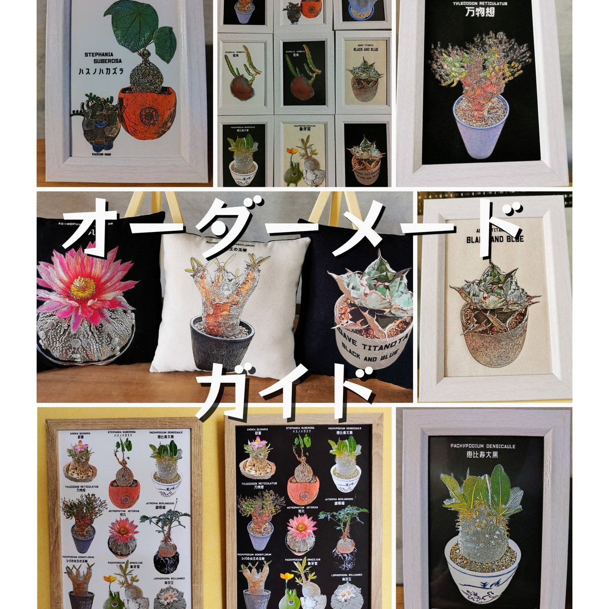 植物限定「うちのコ」オーダーメード ガイド 】 ※こちらのメニューは 