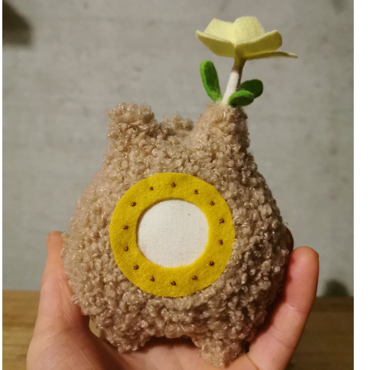 Zooo Plants 塊根まん3点セット 【公式通販】