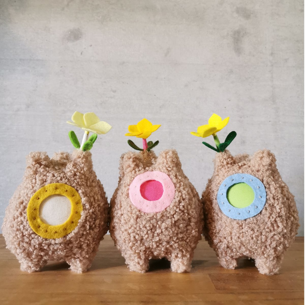 Zooo Plants 塊根まん3点セット Zooo Plants 塊根まん3点セット 【公式通販】