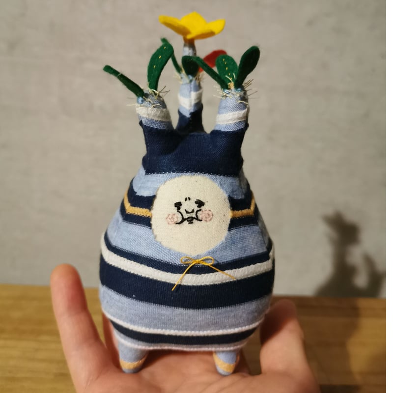 お花の咲いた・ブサイクしましま塊根まん (ブルー) | Zooo plants