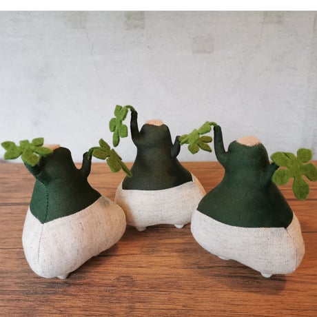 ●Zooo Plants 塊根まん3点セット Zooo Plants 塊根まん3点セット