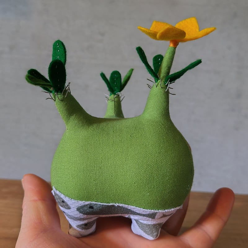 ヌマン　グラキリス　速達 セクシィモモヒキ・グラキリス まん（お魚柄） | Zooo plants