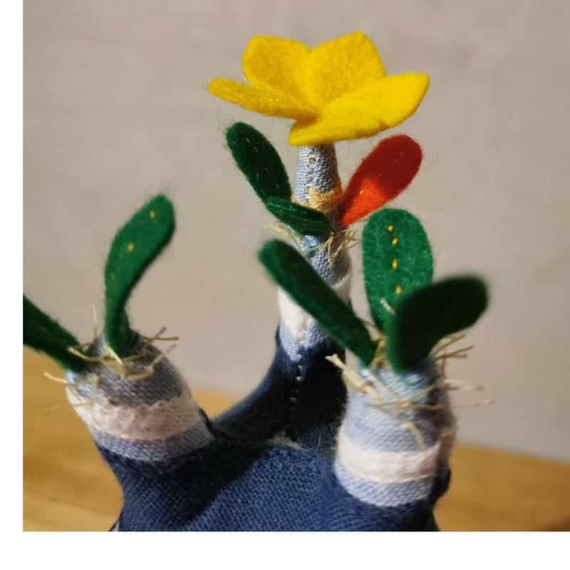 ●Zooo Plants 塊根まん3点セット △Zooo Plants 塊根まん3点セット