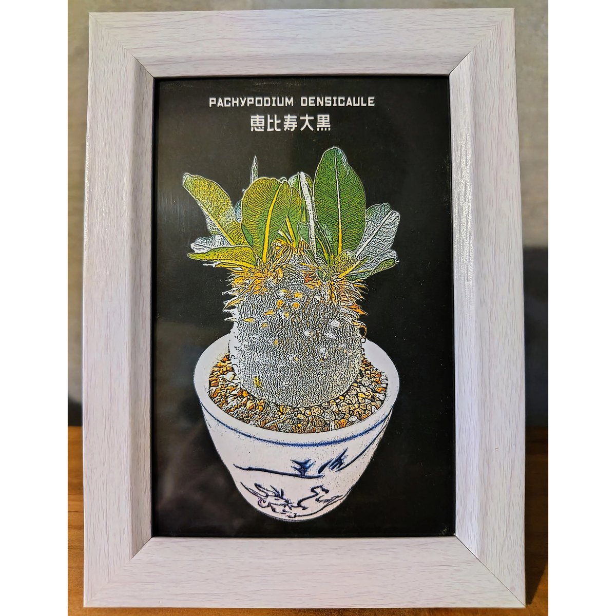 植物限定「うちのコ」オーダーメード ガイド 】 ※こちらのメニューは 