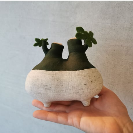 塊根まん | STORES