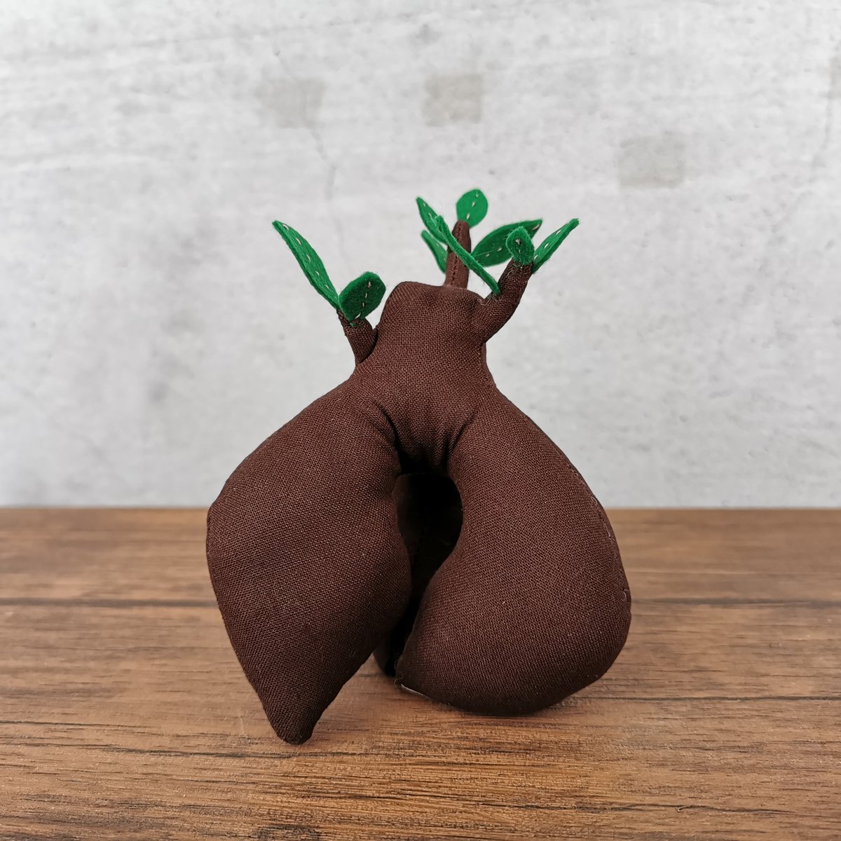 ▲【本日まで】Zooo Plants 塊根まん3点セット 塊根まん・ガジュマル | Zooo plants/ズープランツ
