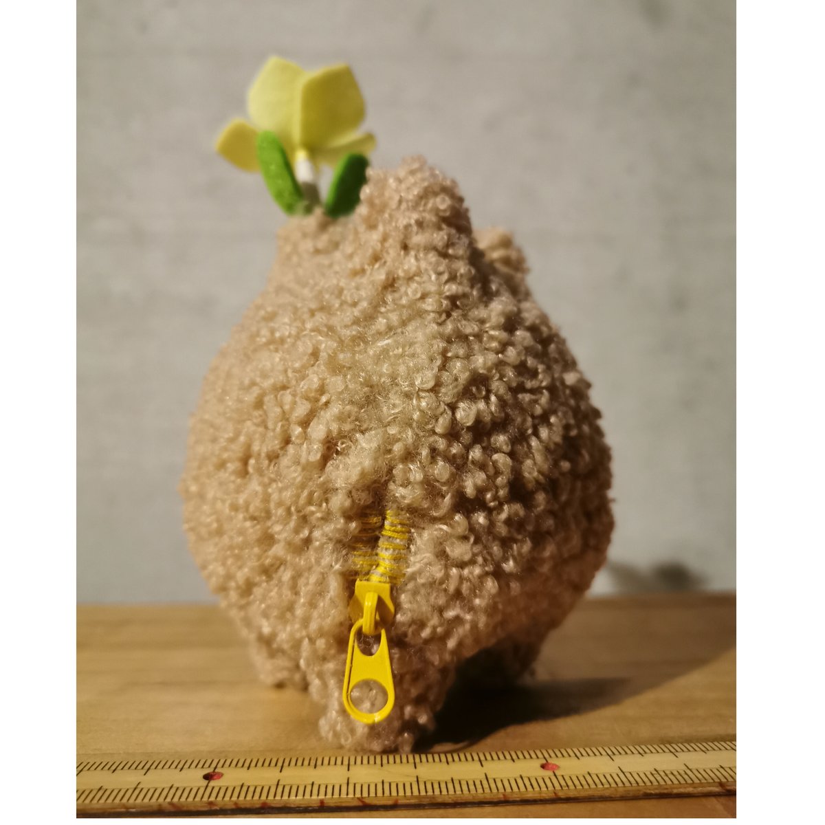 Zooo Plants 塊根まん3点セット 【公式通販】