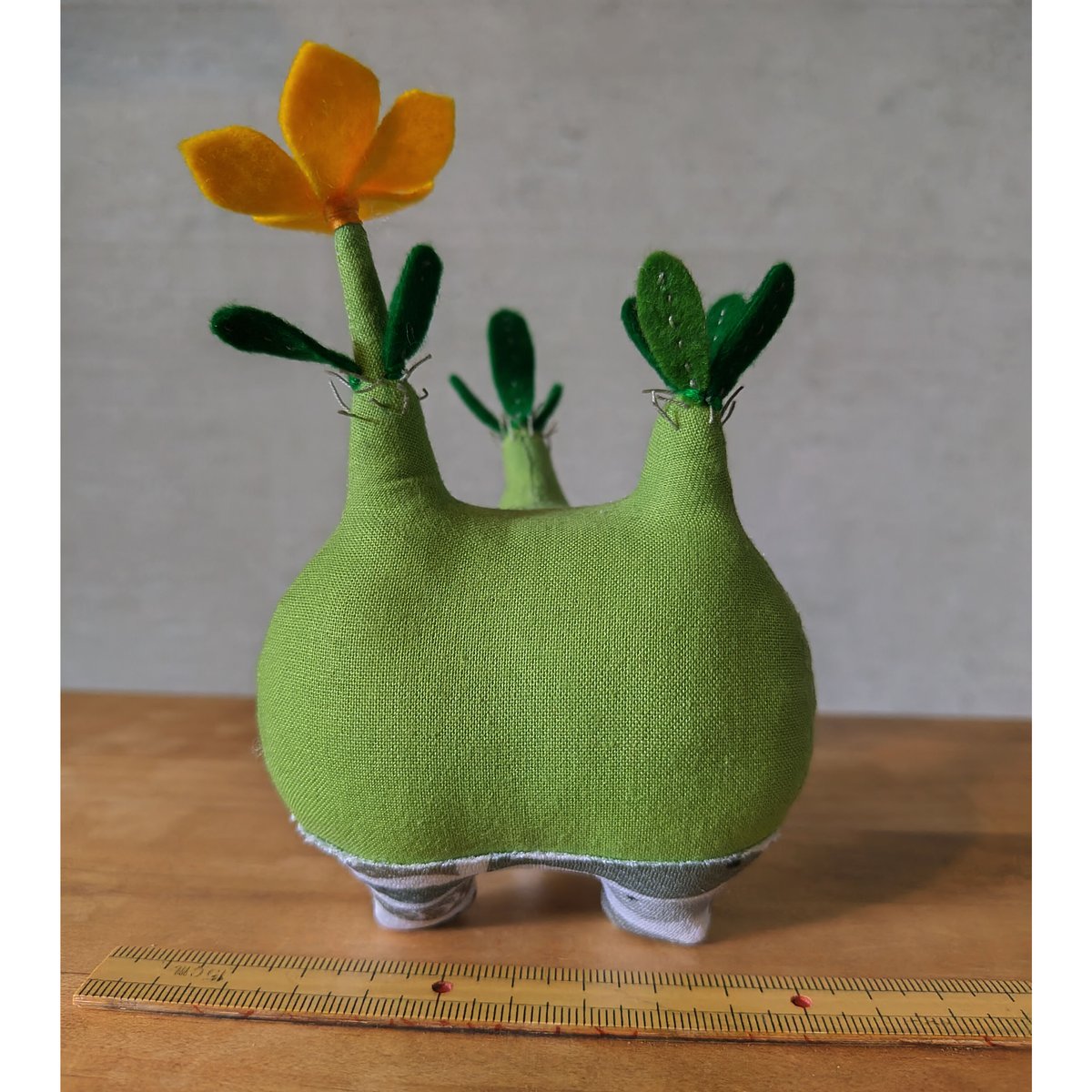 てつ様　グラキリス fit=scale-down,w=1200