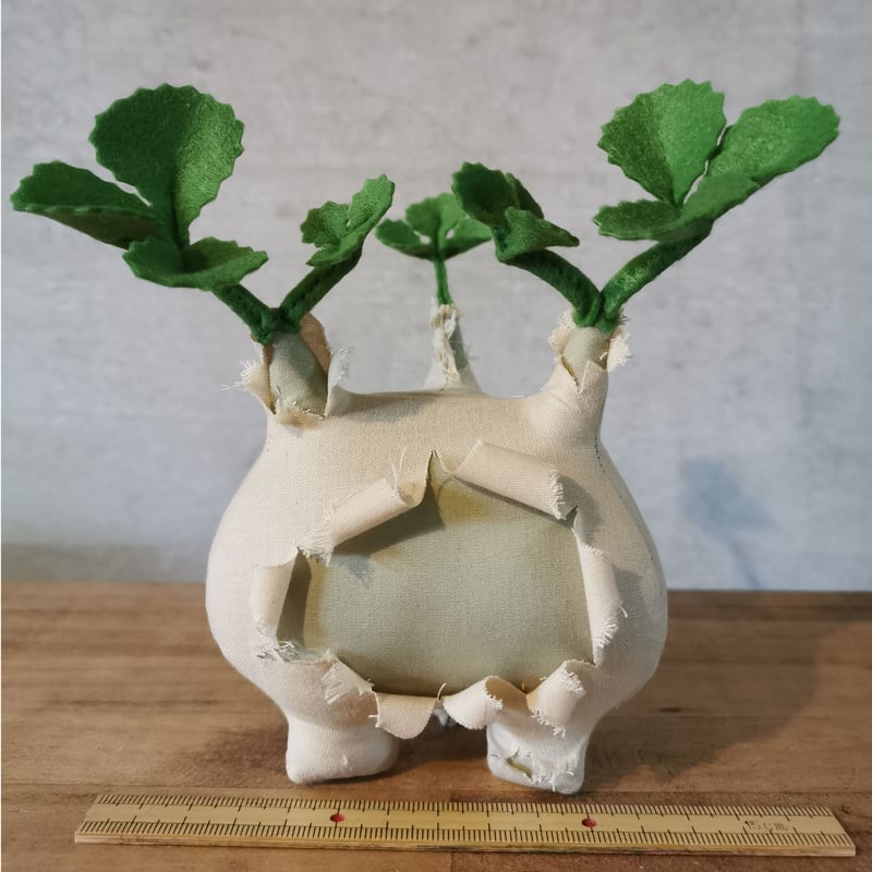 Zooo Plants 塊根まん3点セット Zooo Plants 塊根まん3点セット 【公式通販】