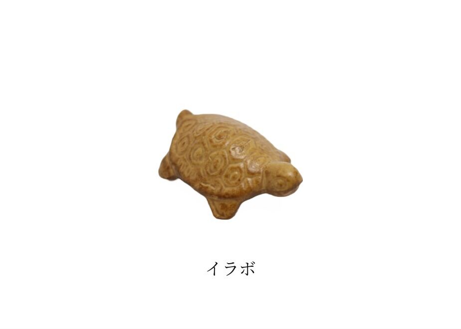6443aac55d52060a65d7d309
