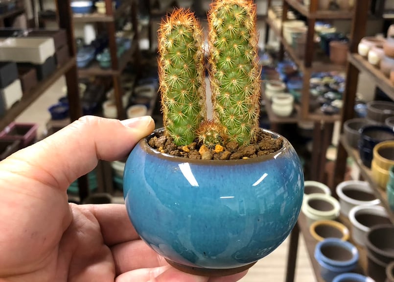 丸鉢　淡緑　直径15cm 鉢・ボウル :: 9cm-15cm 小鉢・ボウルS :: ブルジョン ライスボール