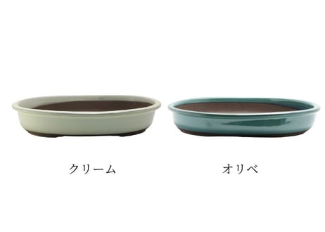 【4色から選んで下さい】11号 オカメ小判
