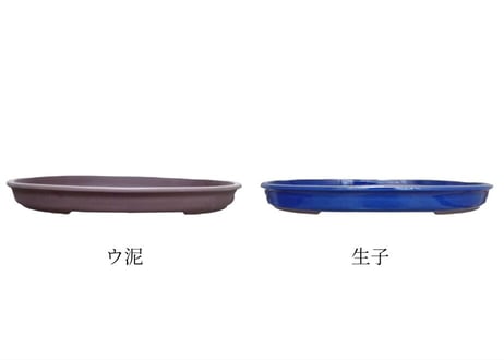 【4色から選んで下さい】20号 オカメ小判